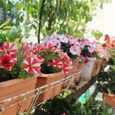 Ana Apartamento Zadar