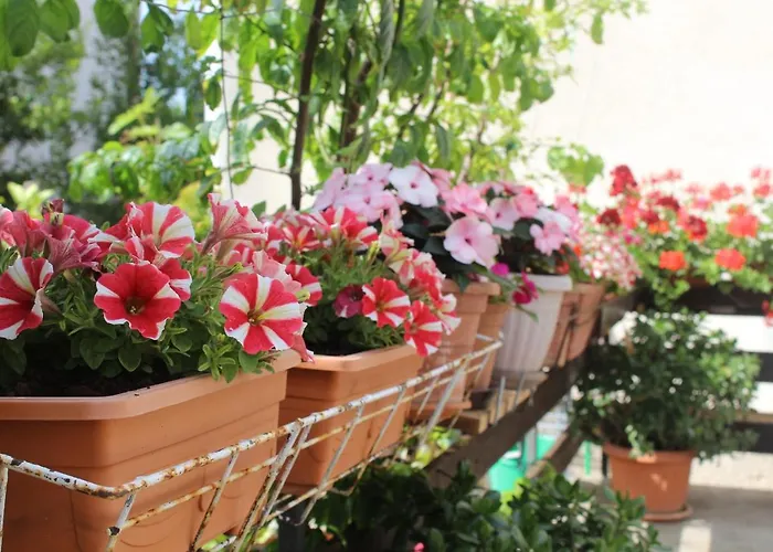 Ana Apartamento Zadar